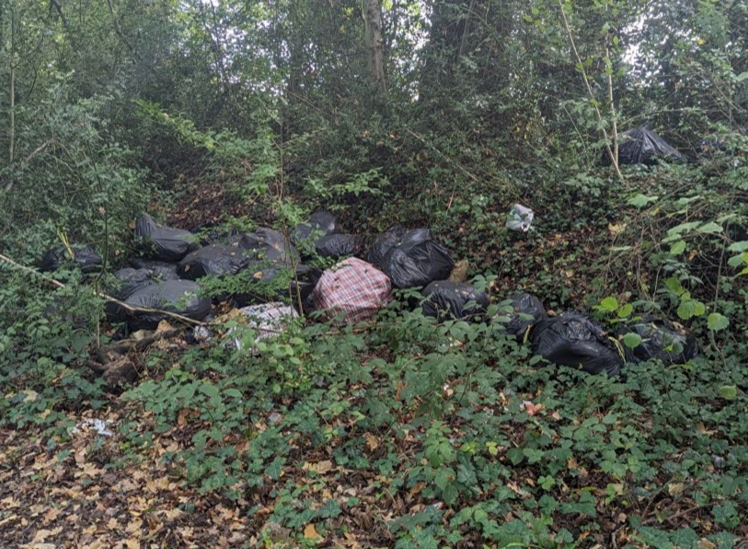 The fly-tipped waste in Boarhunt